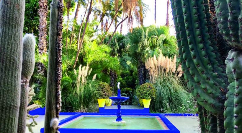 Les jardins de Majorelle. 