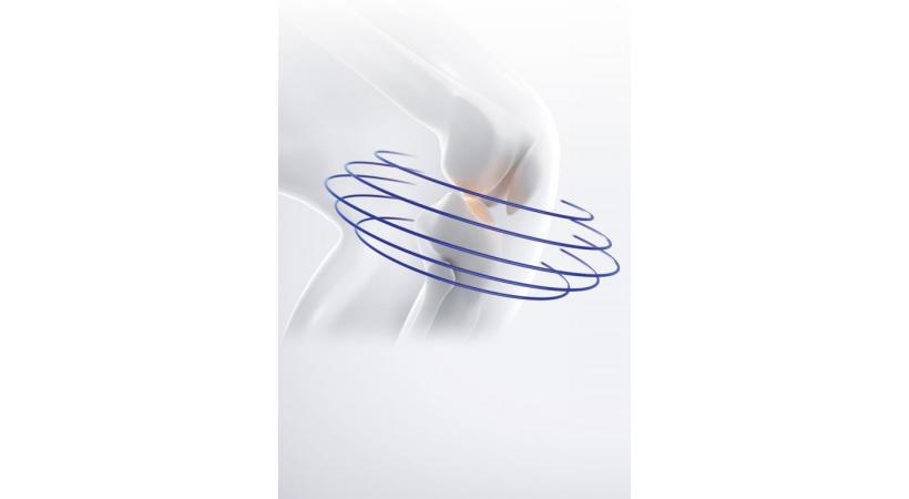 Si elle peut toucher n’importe quelle articulation, l’arthrose sévit le plus souvent dans les genoux DR  