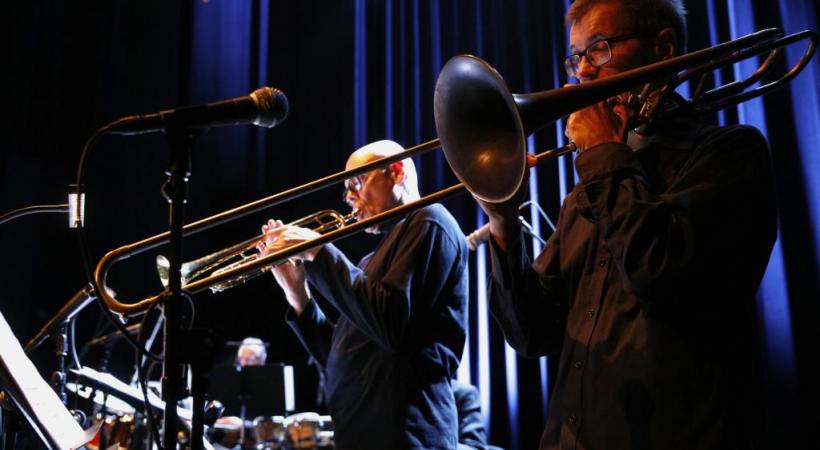 Le Fanfareduloup Orchestra: quarante ans de succès. ISABELLE MEISTER 