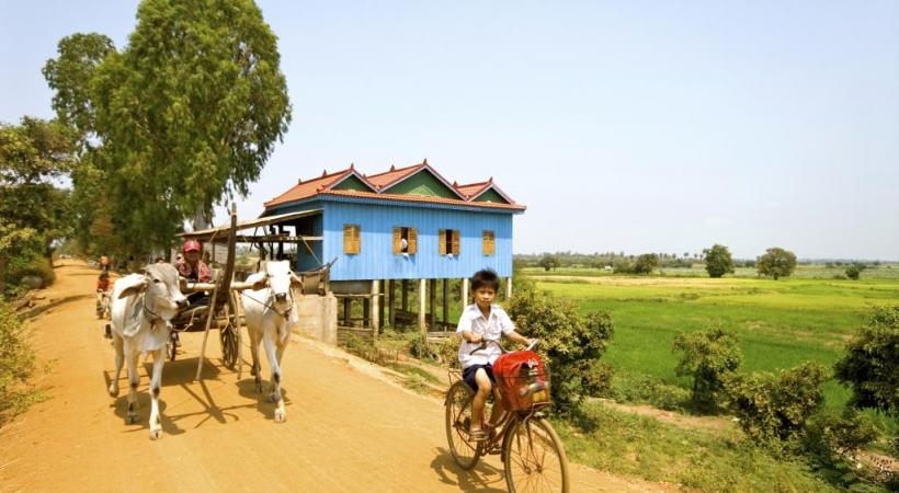 Paysages de rizières, à Kampong Tralach, au Cambodge. CROISIEUROPE 