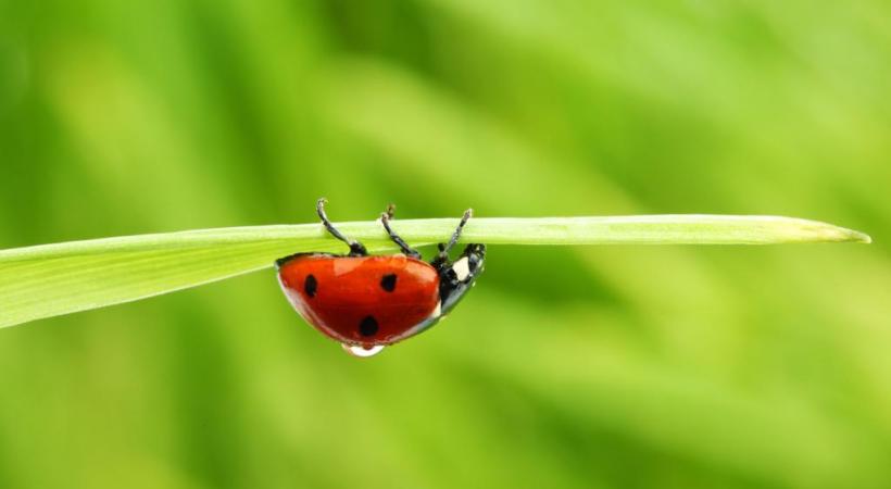  123RF/IVAN MIKHAYLOV