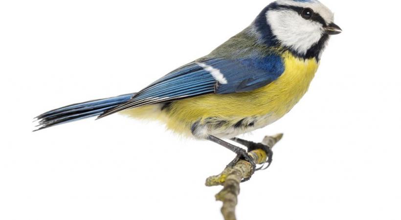 Apprendre à mieux connaître la richesse de Dame nature. YANN ANDRÉ 123RF/ERIC ISSELEE