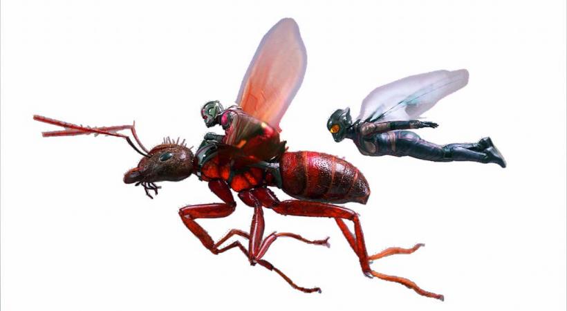 Le film «Ant-Man et la guêpe» sera projeté le 18 juillet prochain  à 20h30 à l’Arena Cinéma. DR   