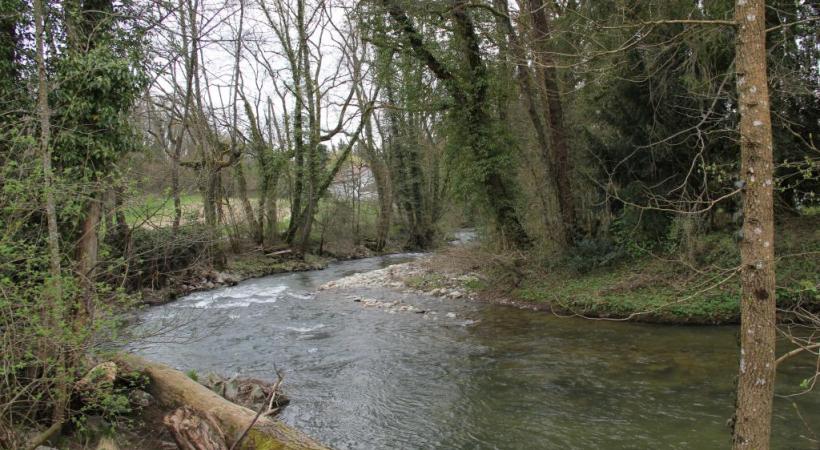 La rivière serpente à travers  les bois. MAIRIE DE VERSOIX 