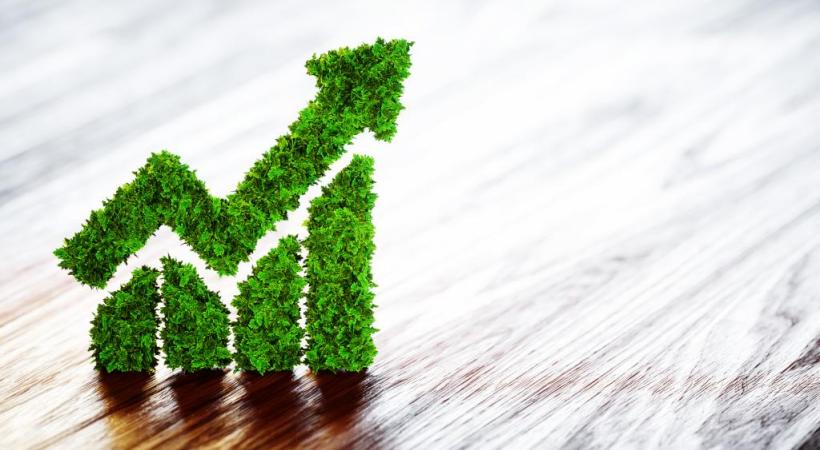 Faire fructifier ses placements en respectant l’environnement, c’est possible. DR 