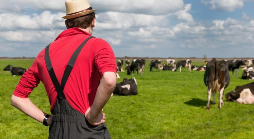 Deux initiatives majeures pour l’avenir de notre paysannerie et celui de notre alimentation. 123RF/IVONNE WIERINK