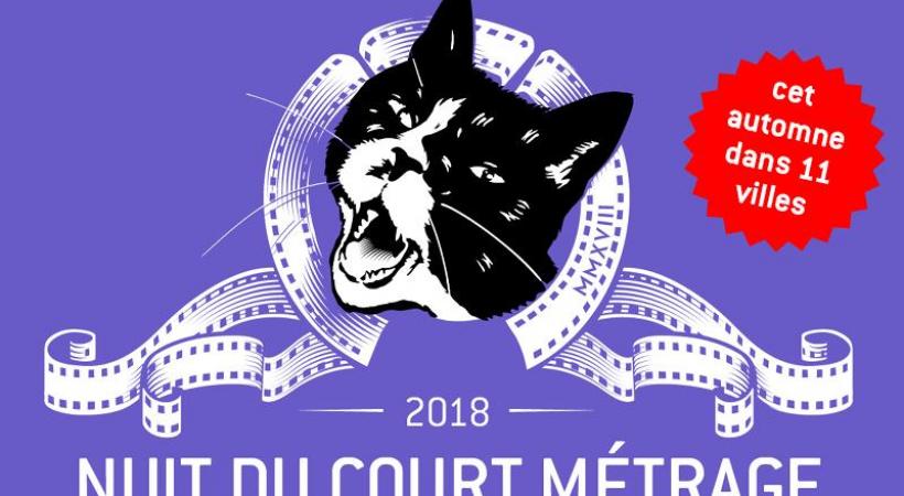 L’événement se tiendra tous les vendredis dans une ville en Suisse romande (dix en tout) et à Lugano. Les spectateurs pourront également voter pour désigner leur œuvre préférée. DR