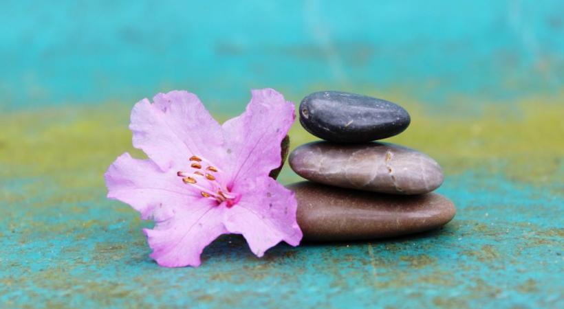 Le salon Holistica présente les dernières thérapies naturelles. PIXABAY