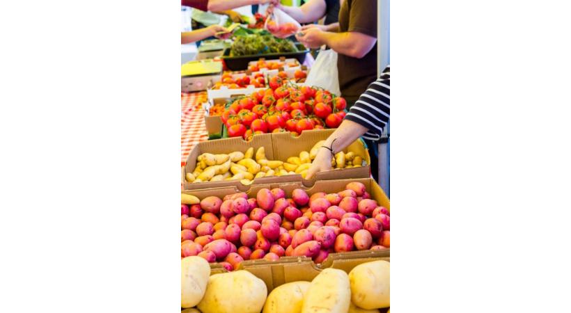 CRéDIT PHOTO123RF/ARINAHABICH 