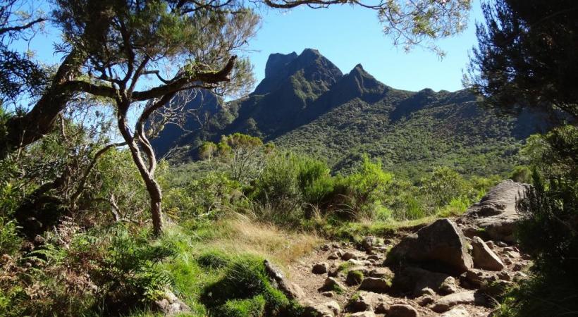 Mafate, l’un des sites réunionnais les plus prisés des marcheurs.