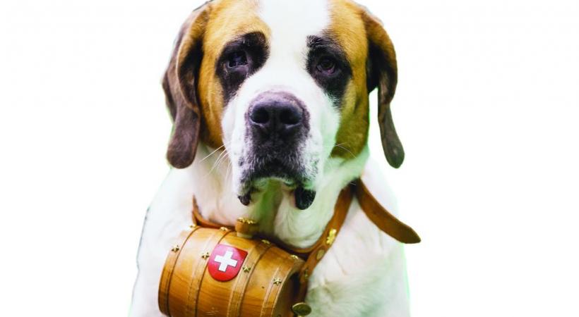 Des chiens provenant  de 27 pays sont attendus durant  les trois jours  de l’exposition.  PIERRE ALBOUY