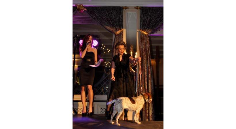 Des pensionnaires de la SPA à Bernex – tous à adopter – défileront. DR