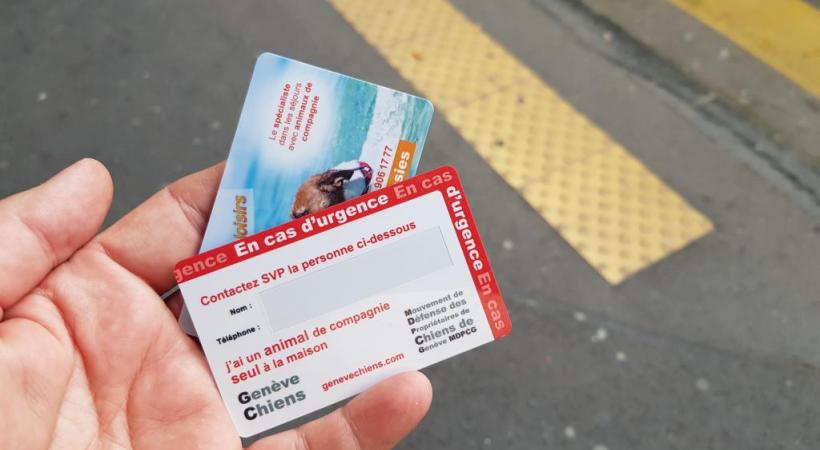 Les 19’937 propriétaires de chiens du canton pourraient être intéressés par la carte. En médaillon, l’autocollant à apposer sur les portes des logements. DR