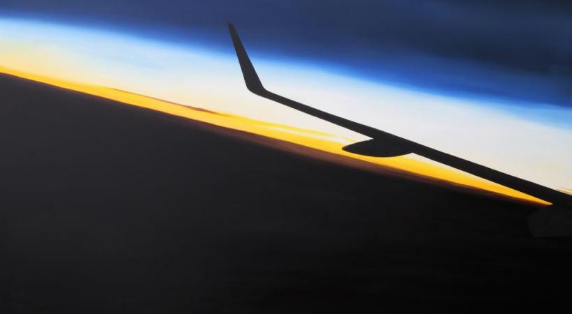 Une œuvre de Bin Woo Hyuk, un artiste  à la notoriété croissante. DR