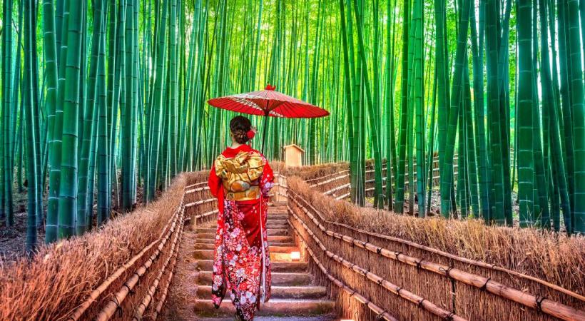 Fushimi Inari, le sanctuaire aux 10’000 torii dans la montagne de Kyoto. En quelque sorte un lieu de pèlerinage.