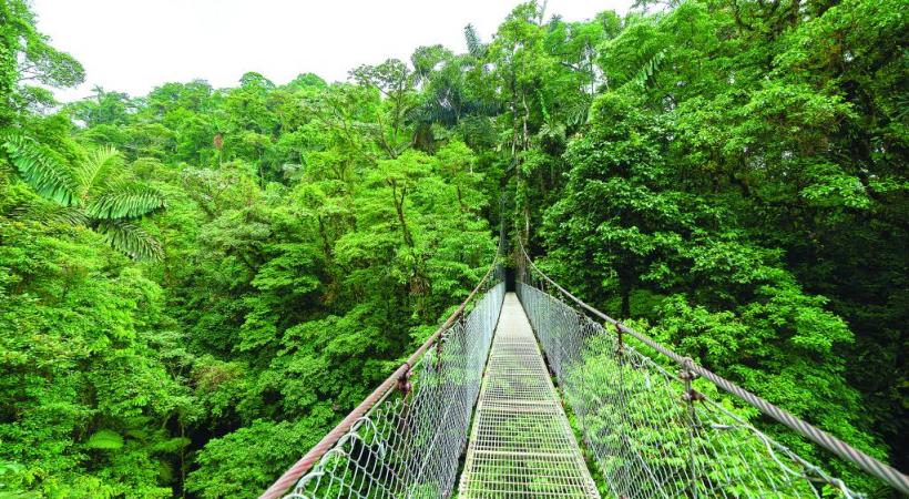 Le parc national Manuel Antonio