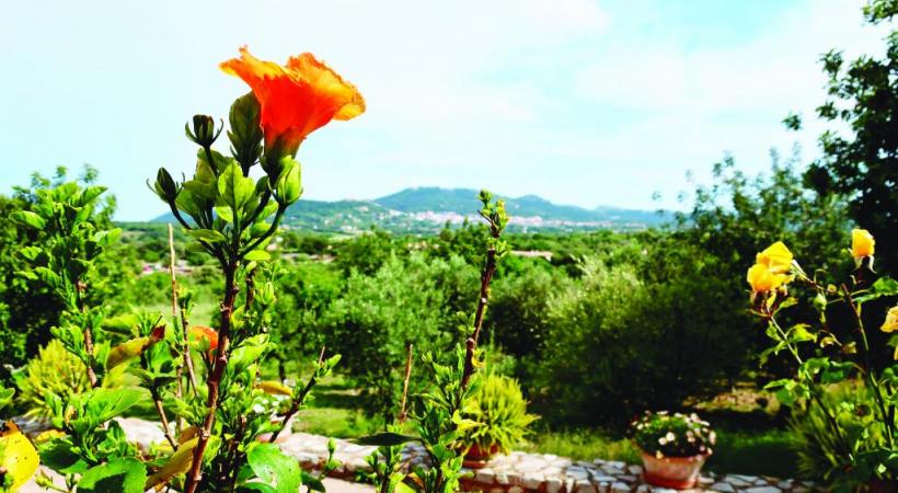 A l’intérieur des terres, une nature luxuriante et des reliefs qui invitent à la randonnée. 