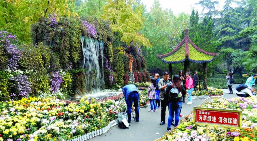 A Chengdu, au parc du Peuple, les jardins font figure d’oasis dans une mégalopole dont la population dépasse celle de la Suisse. 