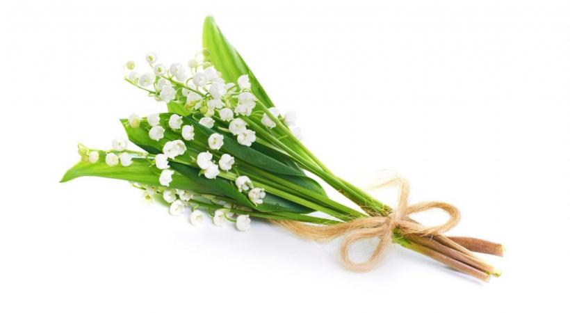 123RF/ PAVLO VAKHRUSHEV  