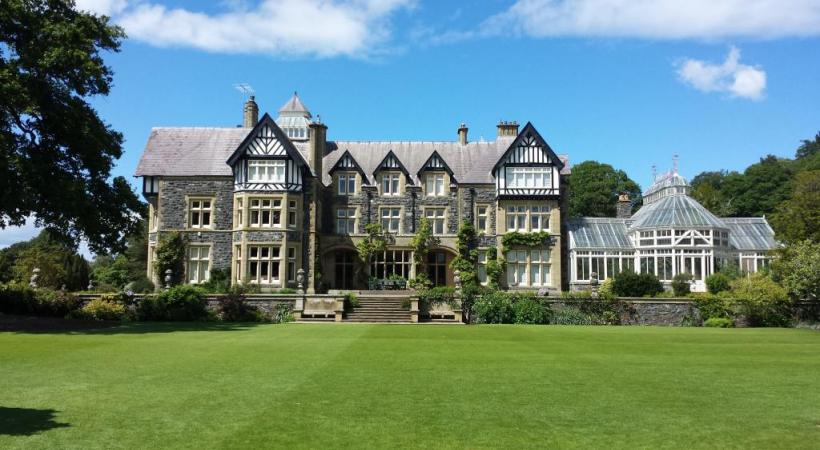 Les goélands pullulent. PIXABAY