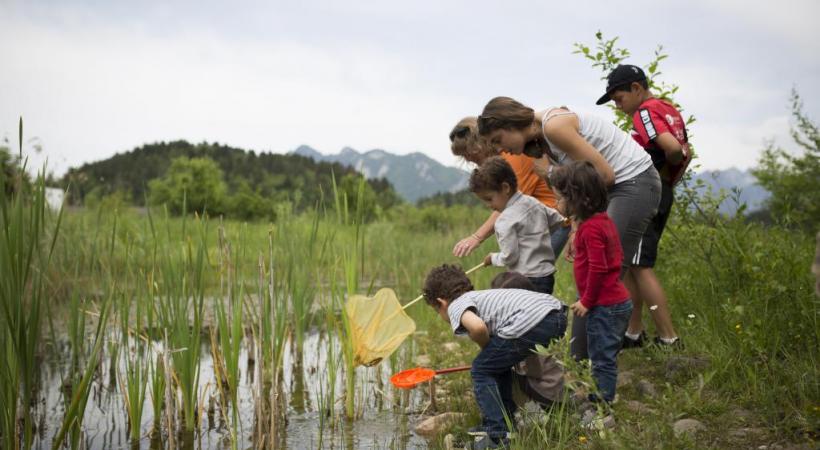 Un week-end pour découvrir  la faune et la flore locales.YANN ANDRÉ