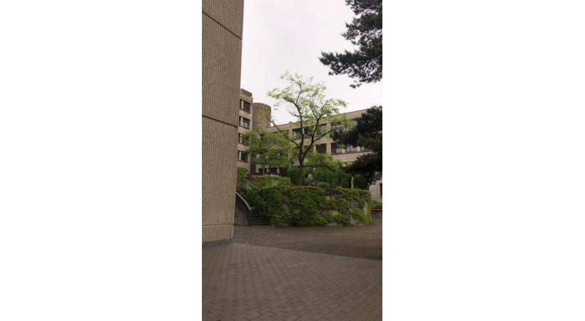 Le Collège de Staël, à Carouge. Un professeur aurait eu un comportement inadéquat. DR