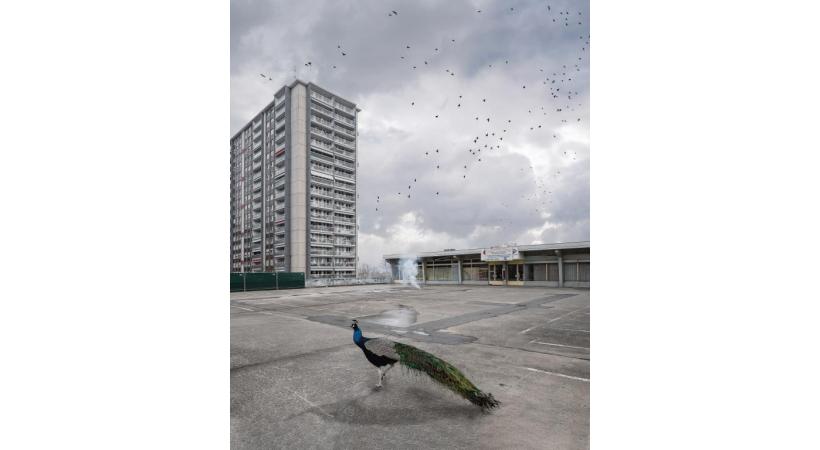 La couverture du programme 2019-2020. Le Grand Théâtre entend questionner la Genève internationale. DR