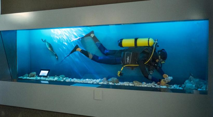 Les plongeurs sont essentiels aux recherches scientifiques dans le lac Léman. 