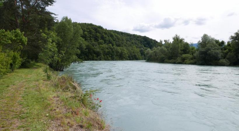 Au départ, la sentier longe le Rhône avant de s’engouffrer dans la forêt. GENÈVE RANDO 