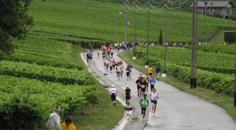 Une course écoresponsable entre vignes et champs. COURSE-DU-MANDEMENT.CH