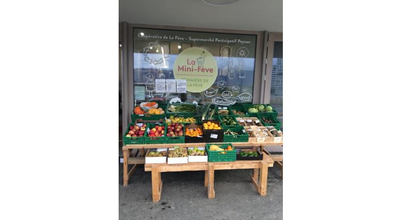 A Meyrin, la Mini-Fève deviendra grande. DR