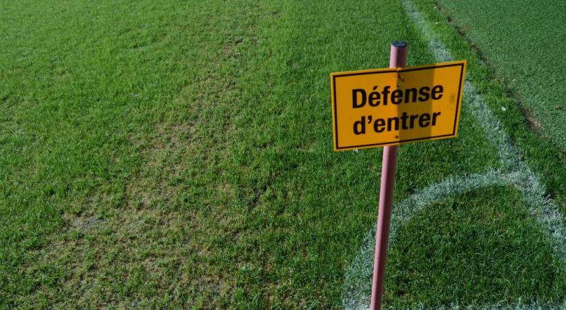 Des semis seront replantés dans les zones qui ont souffert. STéPHANE CHOLLET
