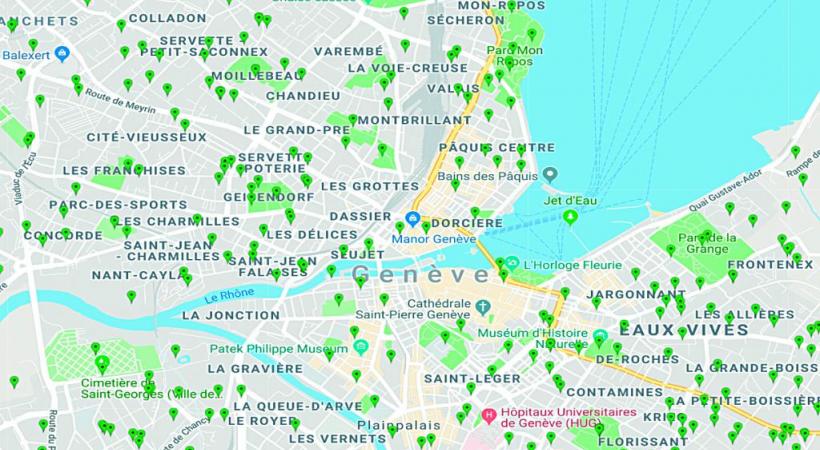 Chaque point vert représente un avis d’abattage d’arbres (de trois à six) depuis janvier. 