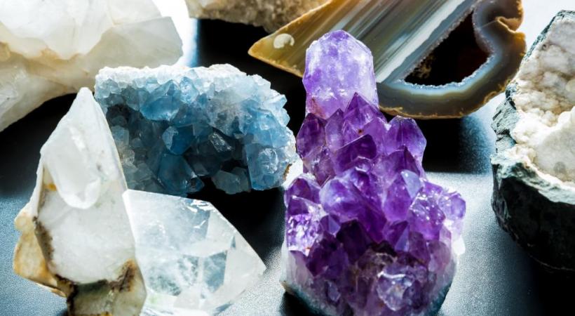 Les visiteurs pourront découvrir des stands proposant 