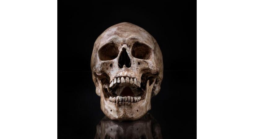 123RF/W. YOSTHAMRONG   