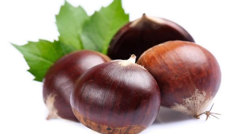 123RF/MARIIA VOLOSHINA 