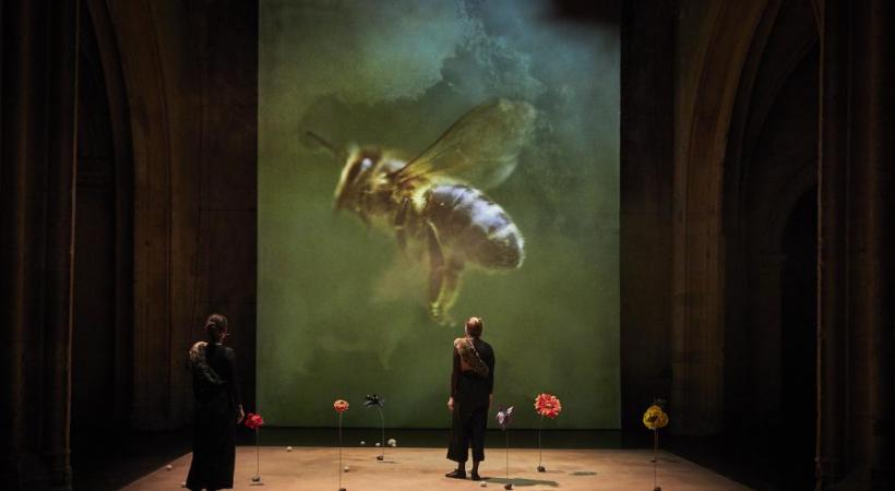 La pièce raconte la romance qui se noue depuis 100 millions d’années entre les abeilles et les fleurs. ELIE BARTHES