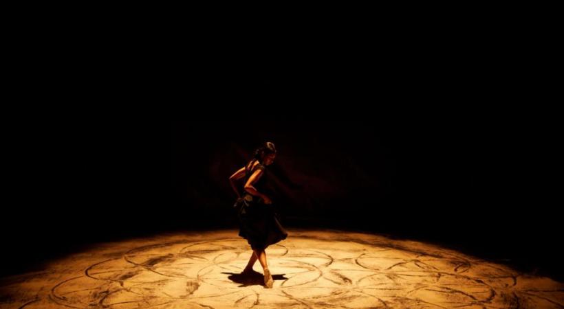 Une fusion instantanée entre cirque et danse. DR