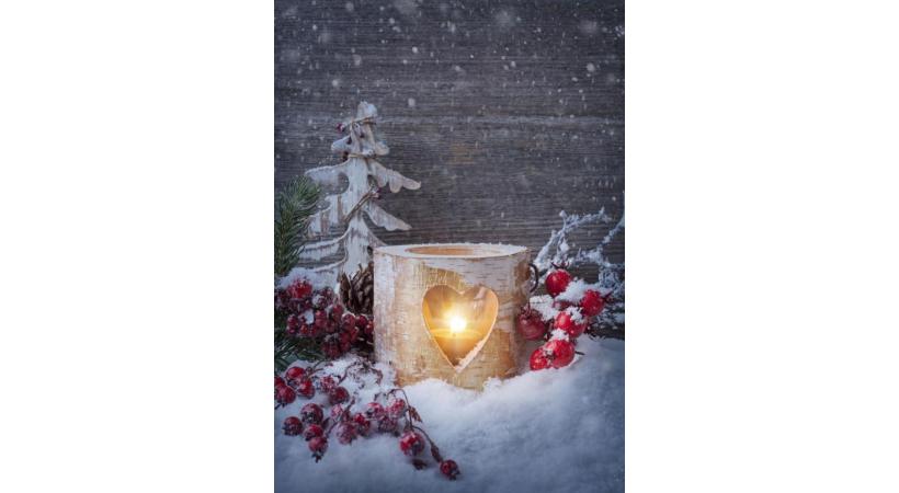 123RF/ELENA SCHWEITZER 