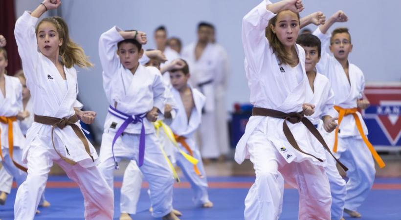 Depuis quelques années, on assiste à une démocratisation des sports de combat.