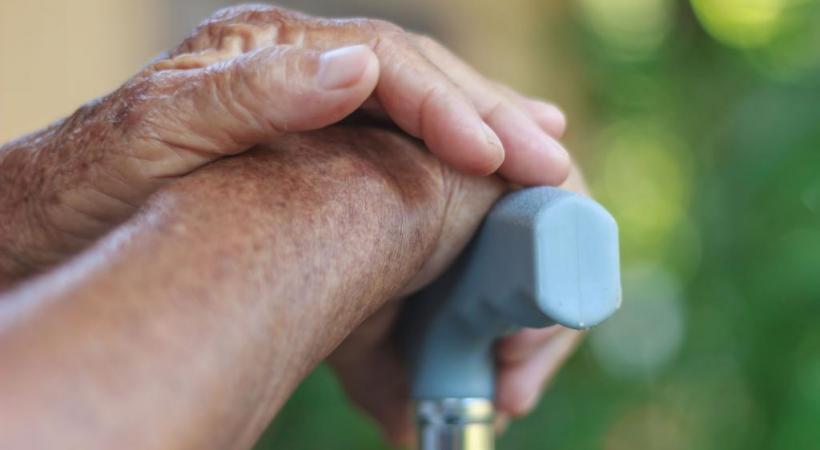 123RF/PHANUPONG RATTANAPATTHAYAKORN 