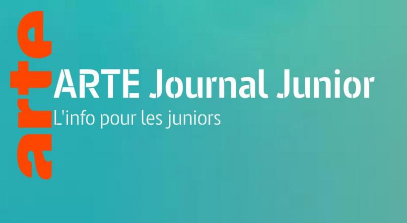 Une école d’art propose des cours de dessins en ligne 100% gratuits. DR