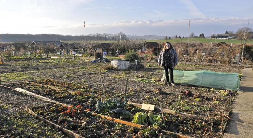 Des scènes récurentes qui agacent les propriétaires de chalets dans les jardins familiaux. DR Saskia Duarte, vice-présidente de la Fédération des jardins familiaux. DAVID ROSEMBAUM-KATZMANN 