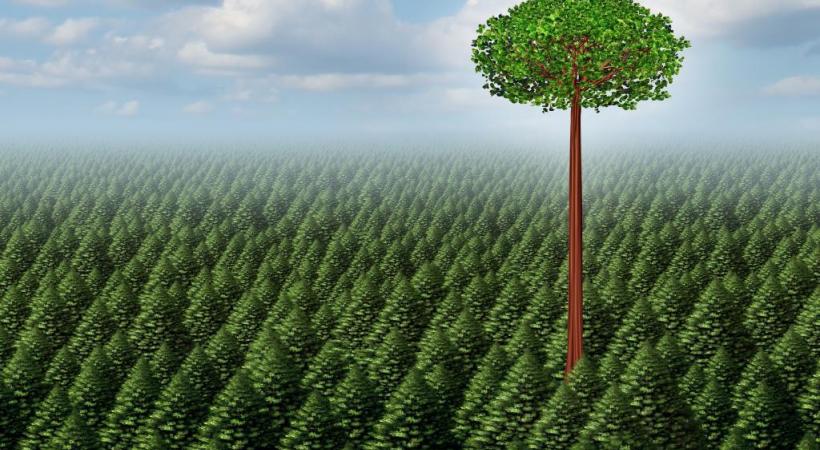 Rien ne nous oblige à capituler face au courant dominant issu des Verts. 123RF/LIGHTWISE 