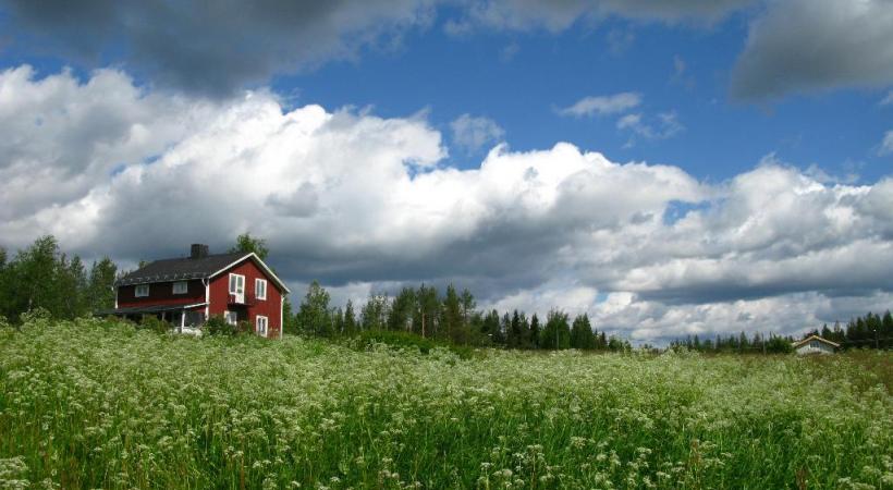 Au sud de la Suède, la campagne se donne des airs de conte de fées. Bergen, l’une des plus belles escales norvégiennes, dont un quartier est classé par l’Unesco. Geiranger, en Norvège, est particulièrement propice au trekking. KONTIKI 