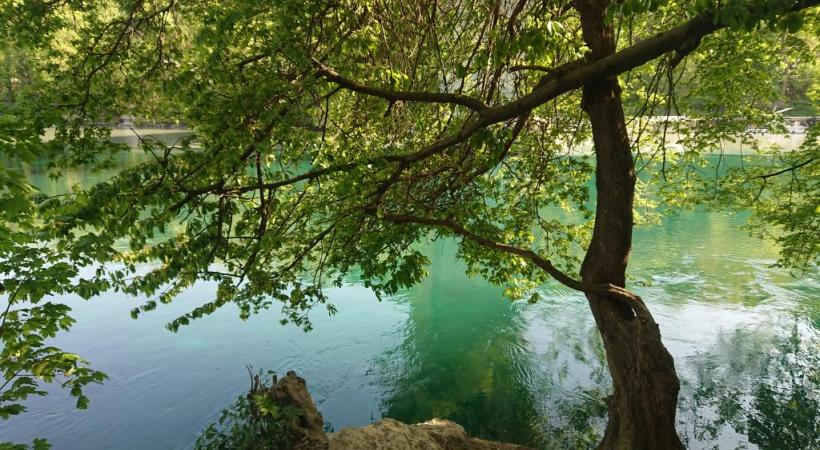 Un havre de tranquillité et de fraîcheur à deux pas de la ville. MP
