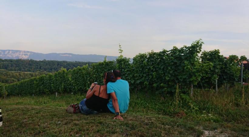 Une petite pause dans les vignes de Russin offre un panaroma grandiose. MP