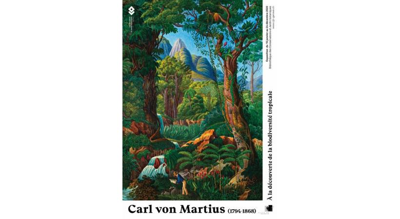 L’exposition permet de rappeler l’importance de la forêt amazonienne. CJBG