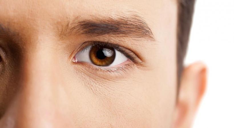 Une découverte qui pourrait permettre de mieux comprendre à la dégénérescence rétinienne. DR