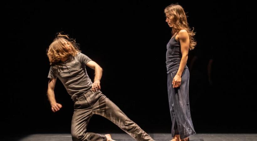 «in C» est la dernière création de